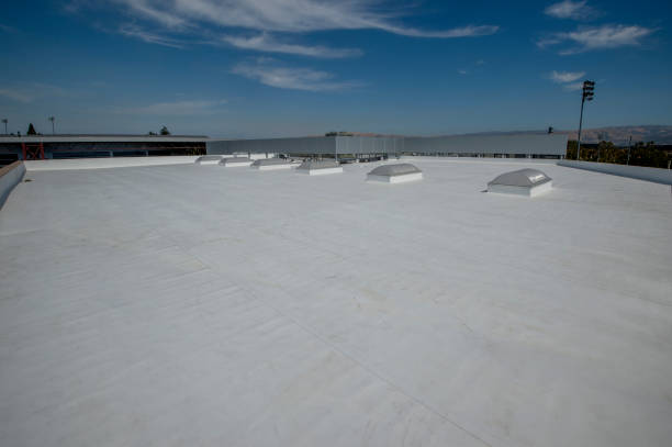 Best Rubber Roofing (EPDM, TPO)  in Columbia City, IN