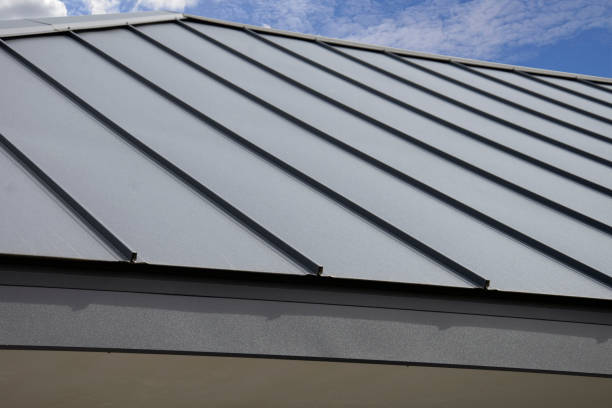 Best Roof Maintenance and Cleaning  in Columbia City, IN